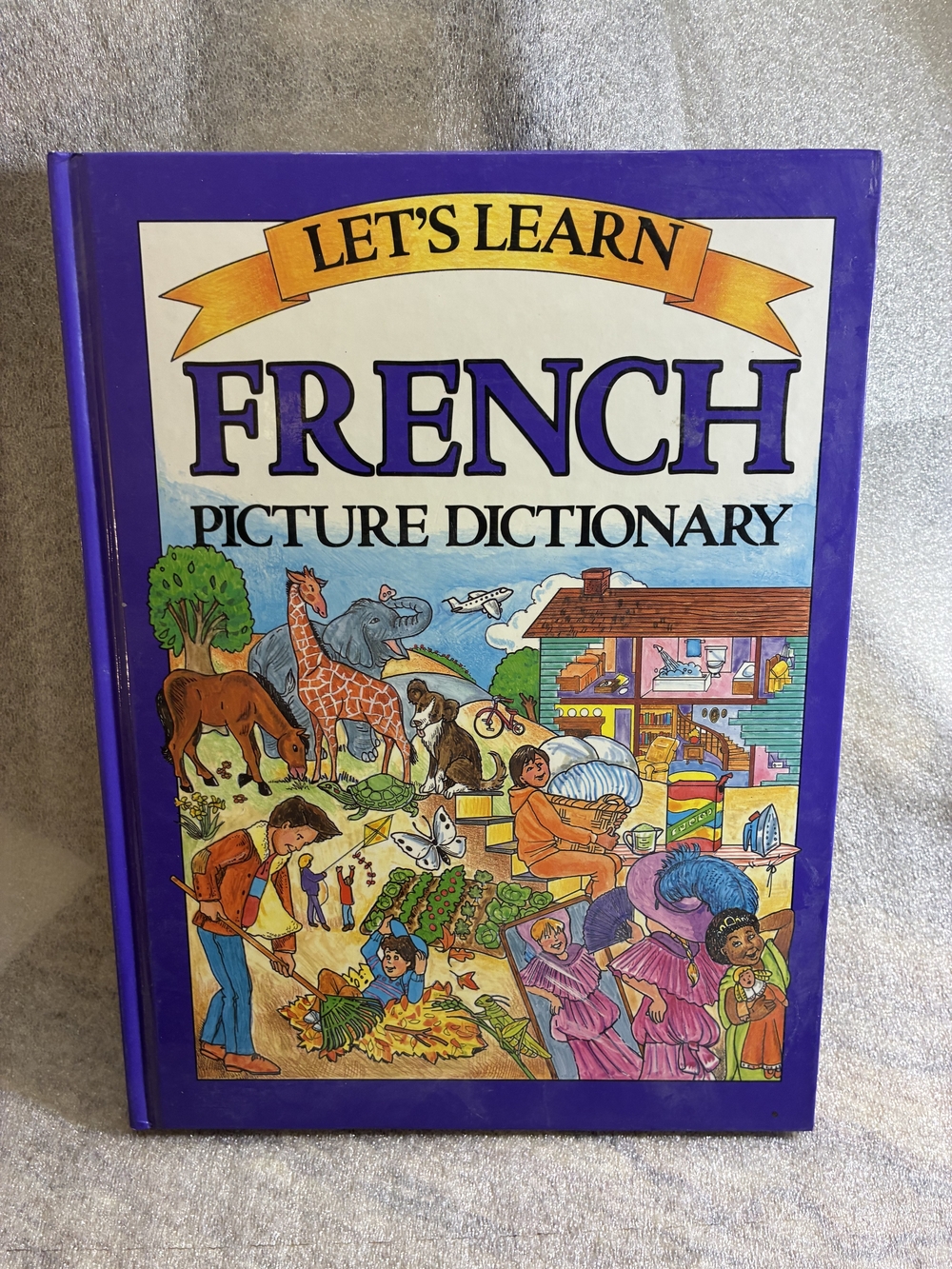 Let's Learn French Picture Dictionary